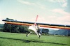 Pietro Terzi Leone T7 01