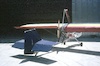 Pietro Terzi Leone T7 08