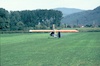 Pietro Terzi Leone T7 13