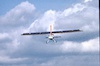 Pietro Terzi Leone T7 17